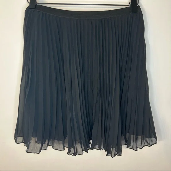 Hollister Women’s Fully Lined Accordion Pleated Skirt in Black, Size Small - Picture 4 of 6